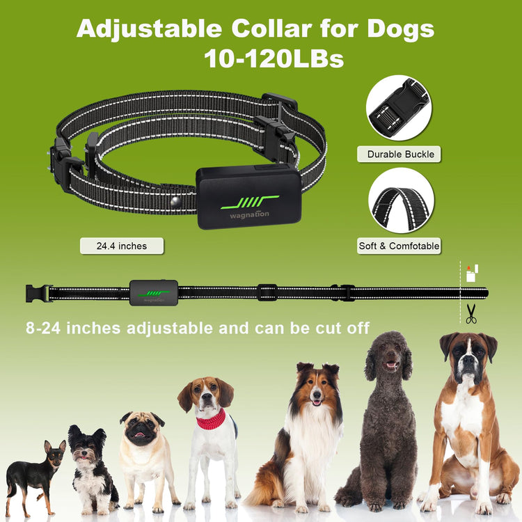 Best Quality Long-Range Remote Control and Adjustable Shock Collars for Dog Training