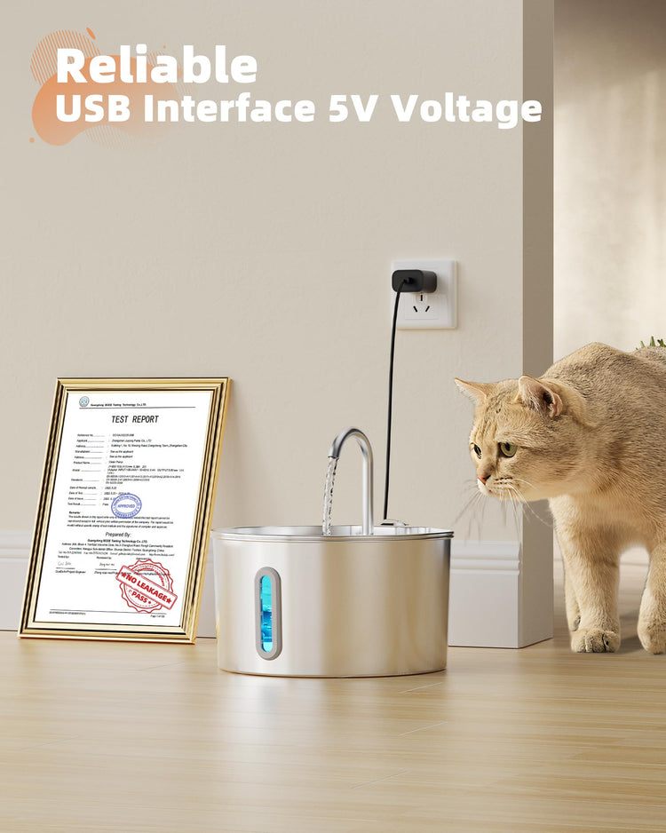 Ultra Quiet and Low Consumption Transparent Water Level Stainless Pet Fountain