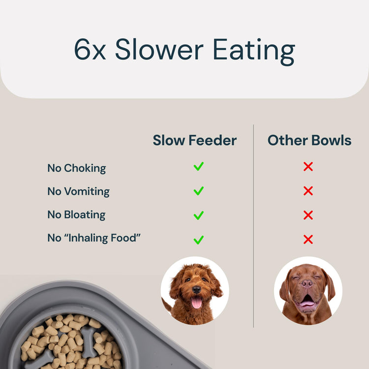 Eco-Friendly and Easy to Maintain Healthy Eating Best Slow Feeder Dog Bowl