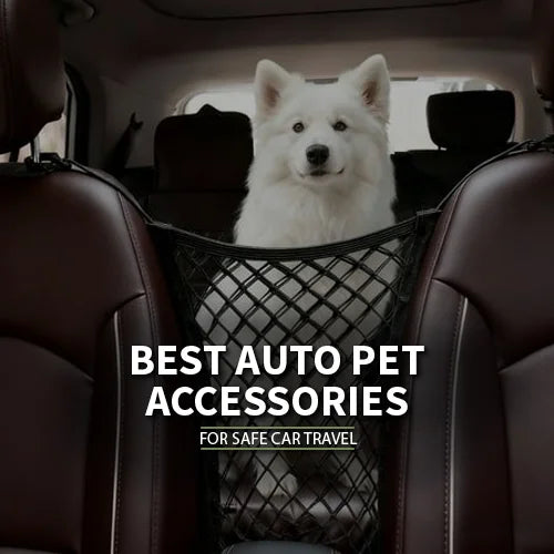 Best Auto Pet Accessories for Safe Car Travel