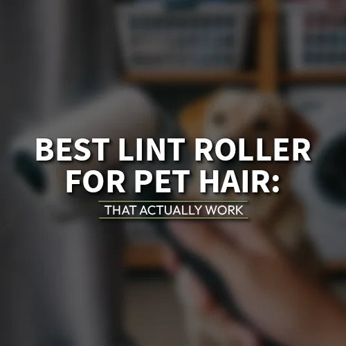 Best Lint Roller for Pet Hair: Top Picks & Guide