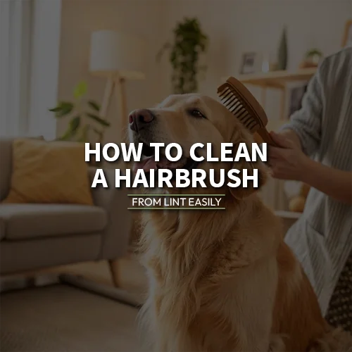 How to Clean a Hairbrush From Lint Easily
