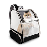 Portable and Travel-Friendly Lightweight Airline Approved Small Dog Carrier