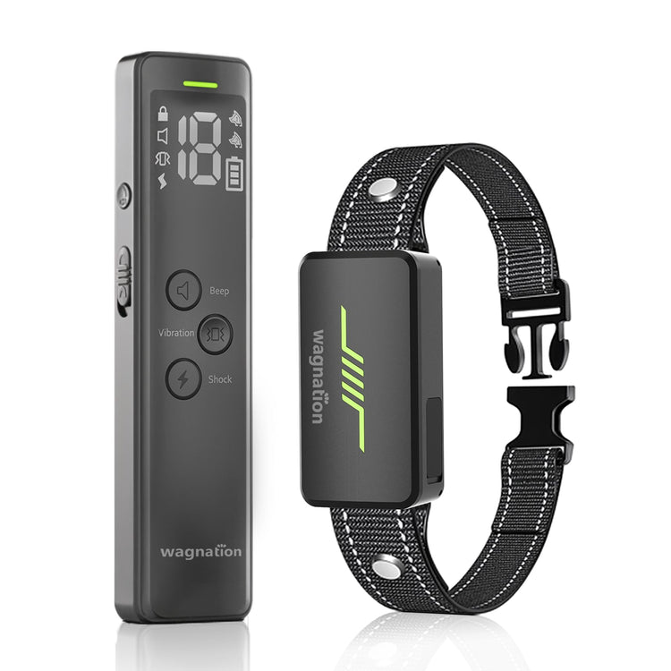 Best Quality Long-Range Remote Control and Adjustable Shock Collars for Dog Training