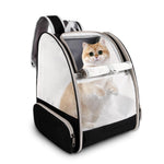 Portable and Travel-Friendly Lightweight Airline Approved Small Dog Carrier