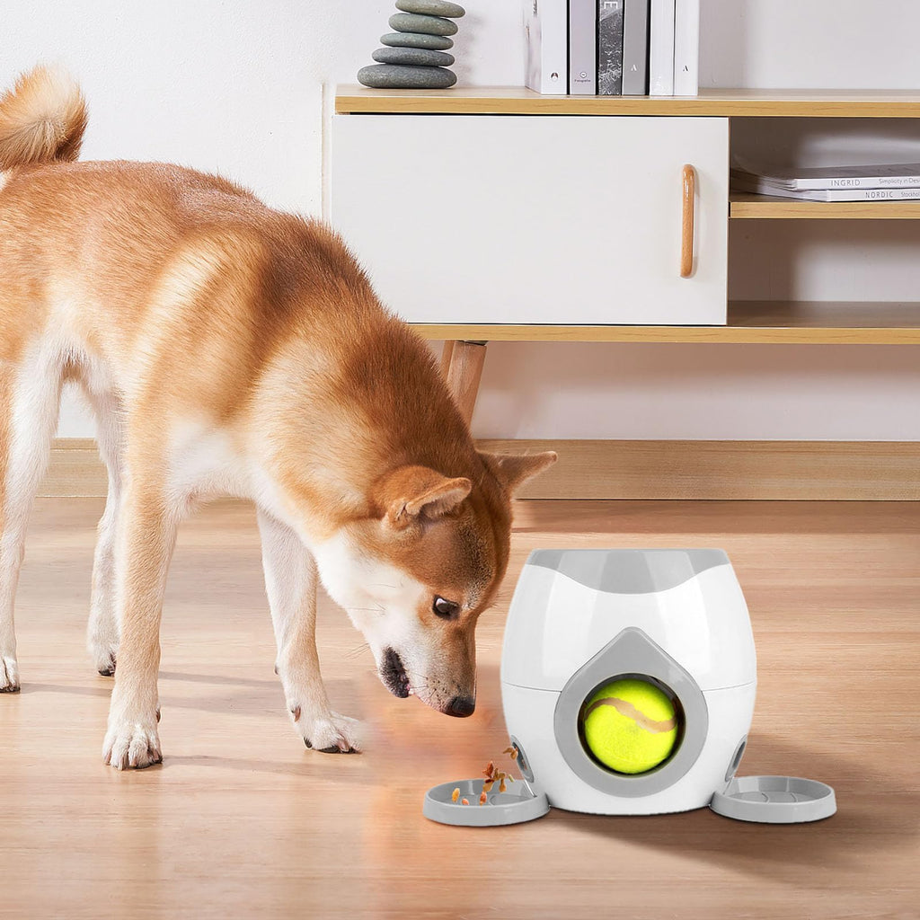 Multi-Functional Adjustable Intensity Entertaining Tennis Ball Launcher for Dogs