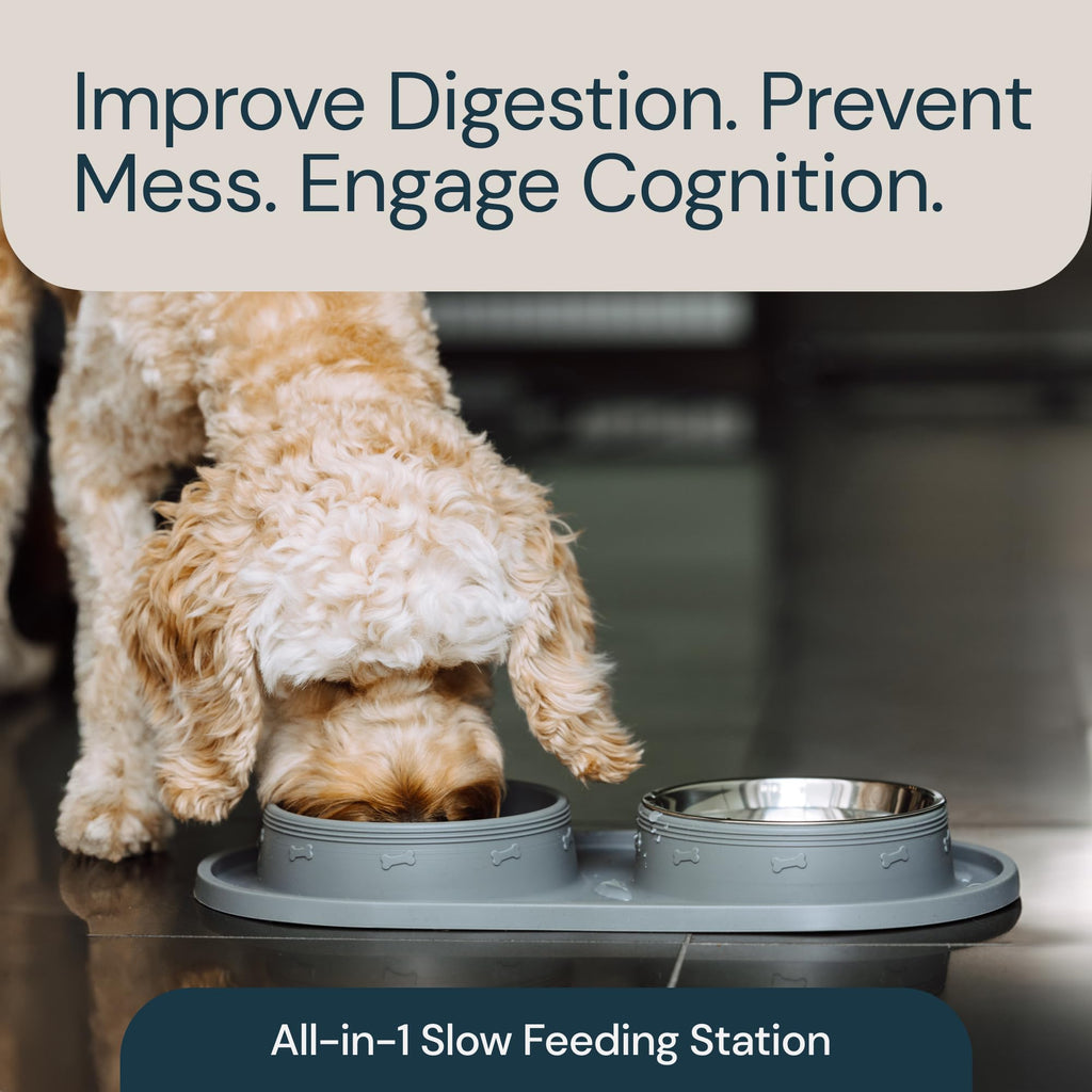 Eco-Friendly and Easy to Maintain Healthy Eating Best Slow Feeder Dog Bowl
