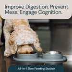 Eco-Friendly and Easy to Maintain Healthy Eating Best Slow Feeder Dog Bowl