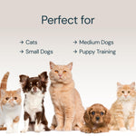 Eco-Friendly and Easy to Maintain Healthy Eating Best Slow Feeder Dog Bowl