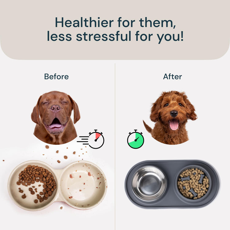 Eco-Friendly and Easy to Maintain Healthy Eating Best Slow Feeder Dog Bowl