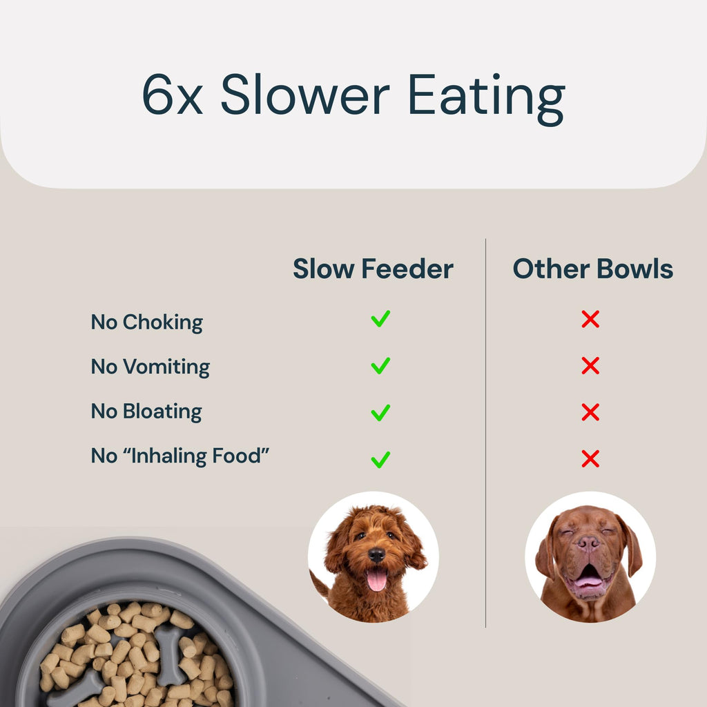Eco-Friendly and Easy to Maintain Healthy Eating Best Slow Feeder Dog Bowl