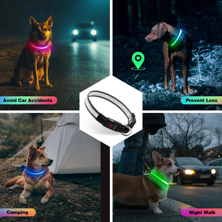Vibrant Colors Dual Light Technology Multi-Color 7 Lighting Modes Light Up Collar For Dogs