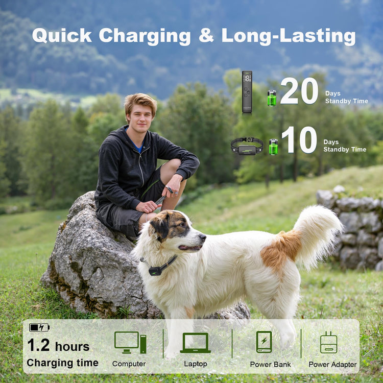 Best Quality Long-Range Remote Control and Adjustable Shock Collars for Dog Training