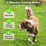 Best Quality Long-Range Remote Control and Adjustable Shock Collars for Dog Training